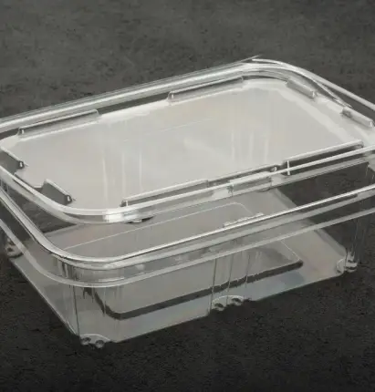 Diversos grãos, como feijão e arroz, essenciais para a alimentação de qualidade.